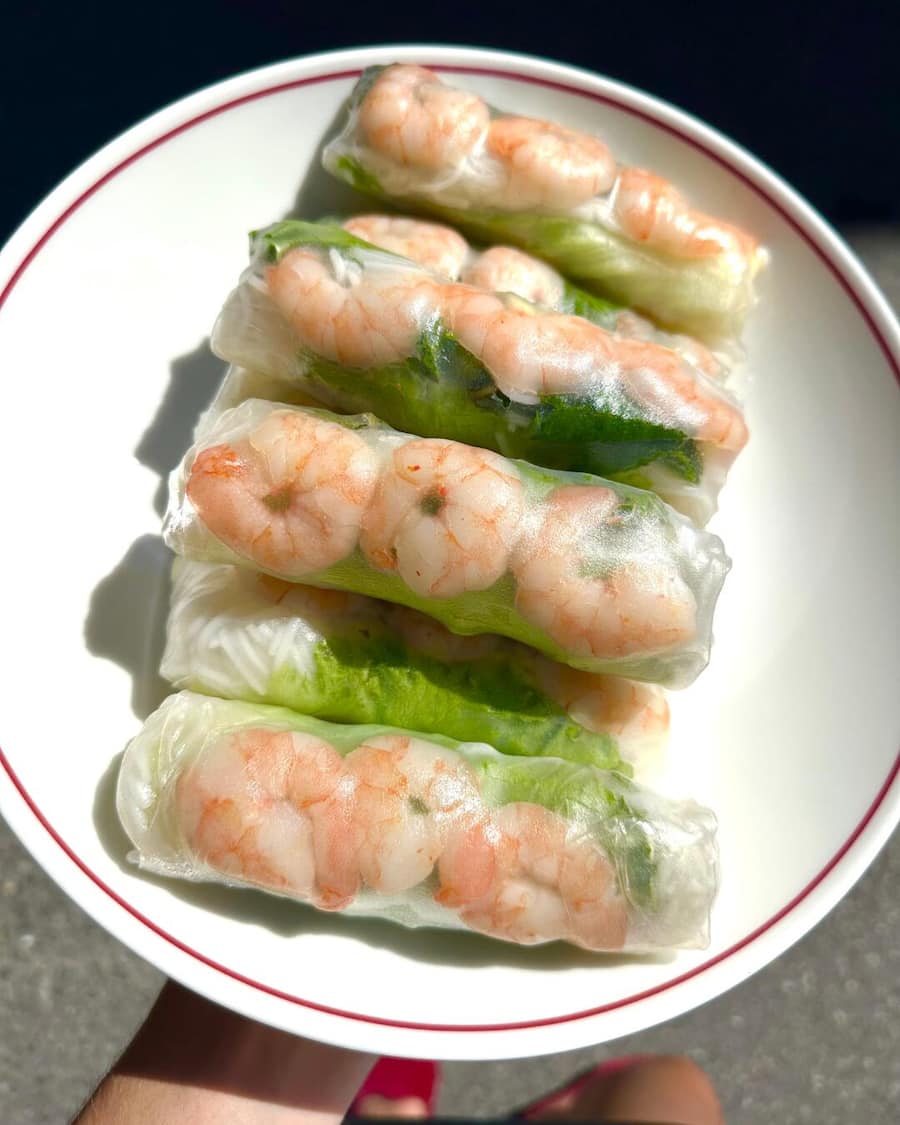 Rouleaux d'été Nemnem