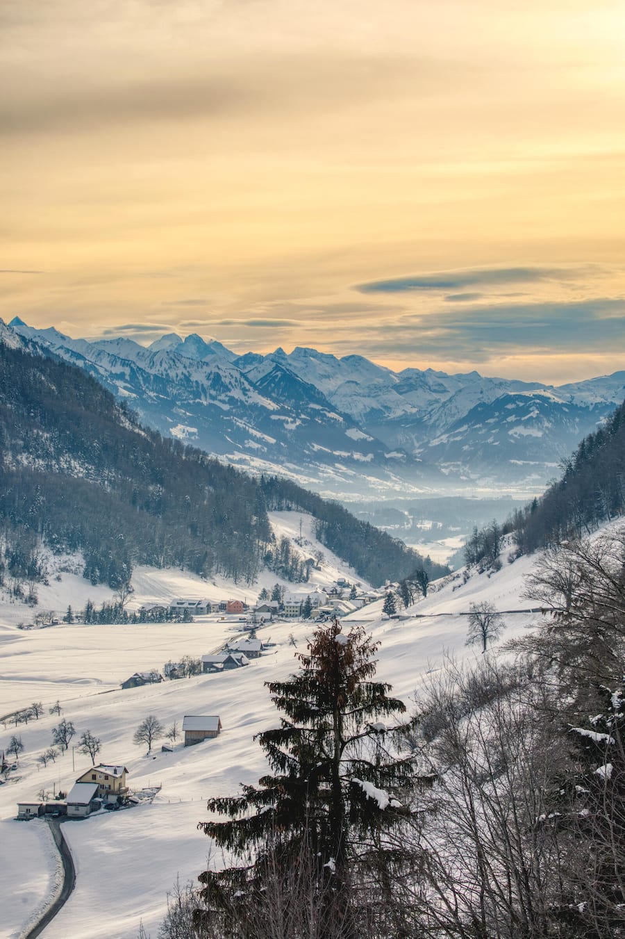 Tatort Bürgenstock: Natur pur, Weihnachtsstimmung.
