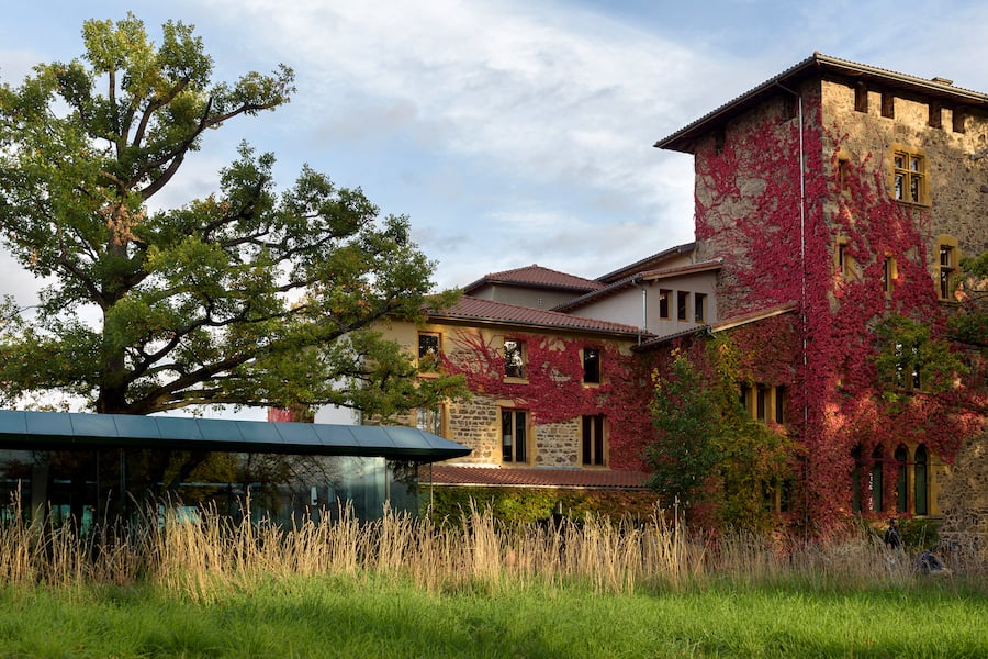 Le Bois sans feuilles / Ouches