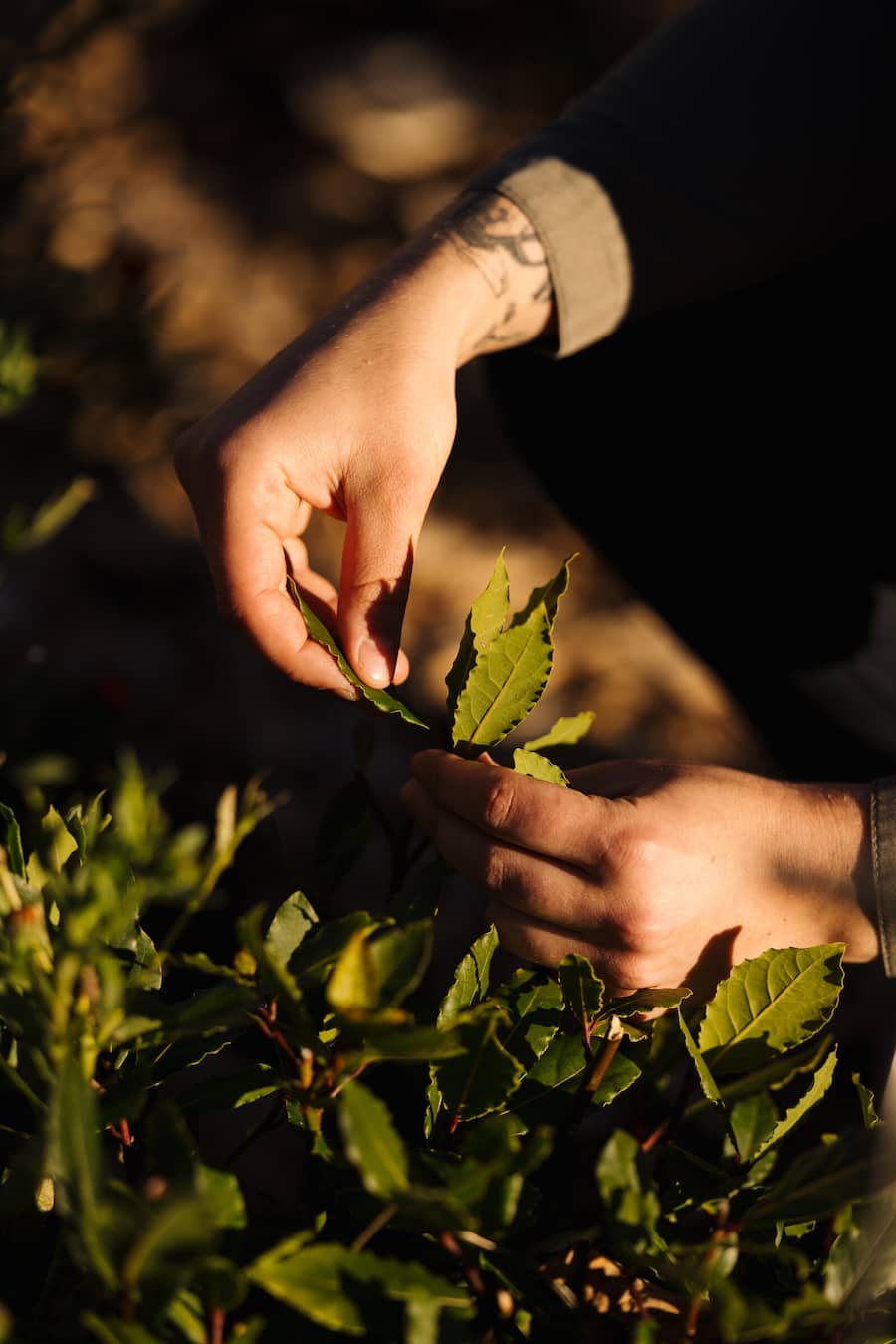 Nadine im Hotelgarten - Hotel Villa Honegg, Ennetbürgen - Küchenchefin Nadine Stadelmann - November 2025 - Copyright Olivia Pulver