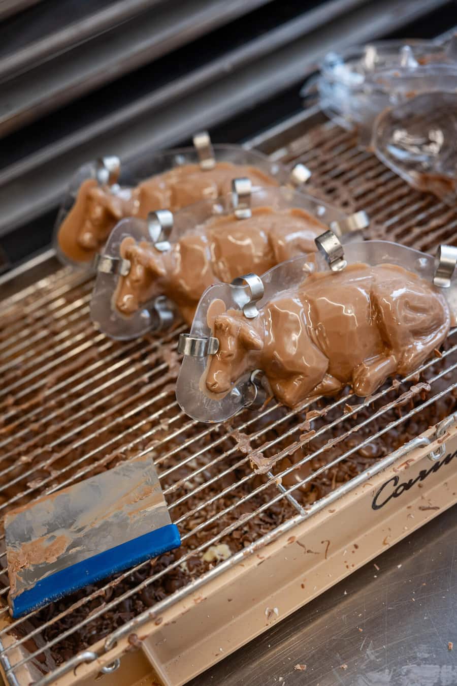 30.10.2025, Appenzell AI, Chocolat Manufacture Appenzell (photo by Remy Steiner for Gault Millau)
