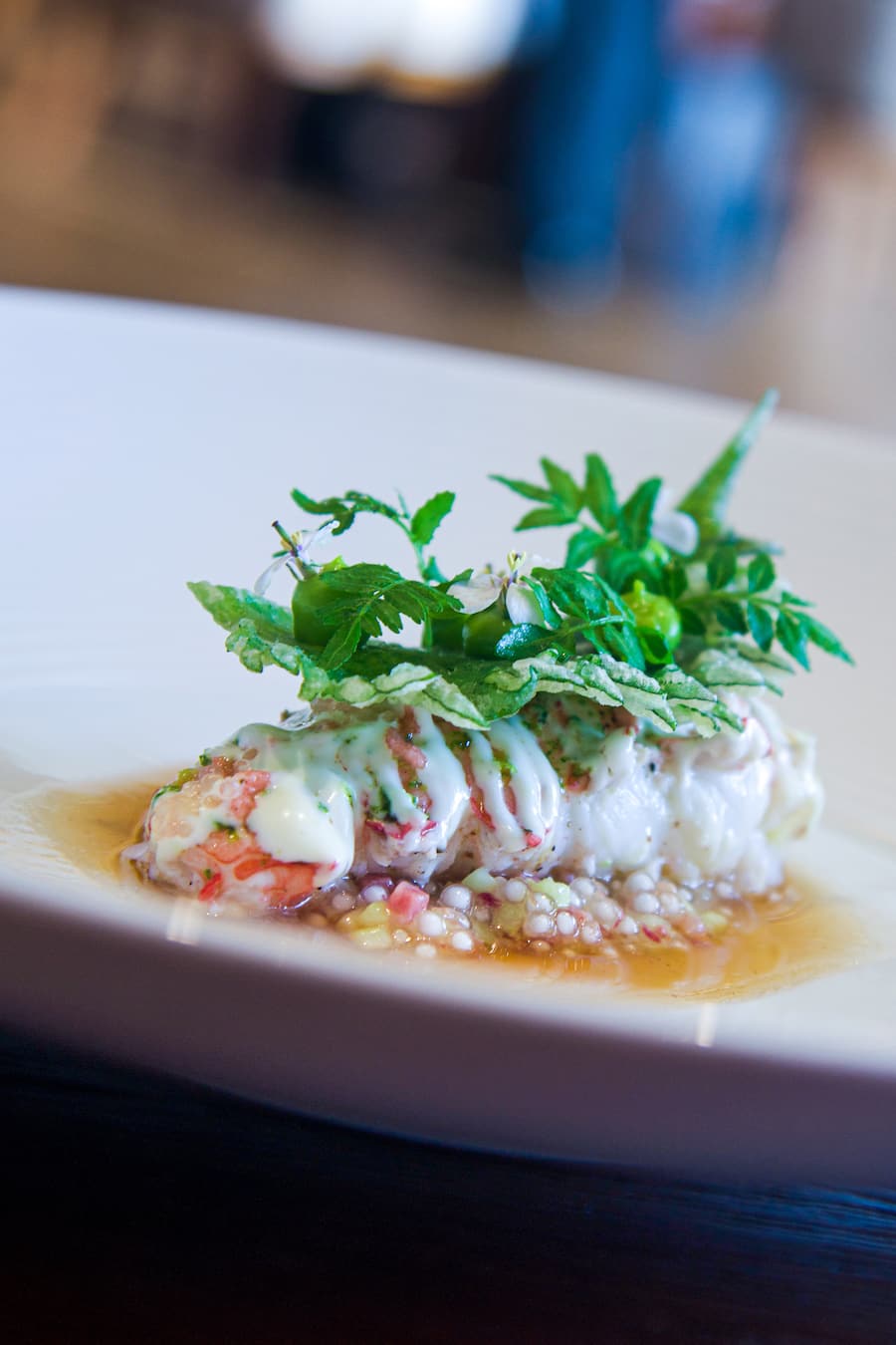 Kaisergranat mit Kalbstatar und Tapioka