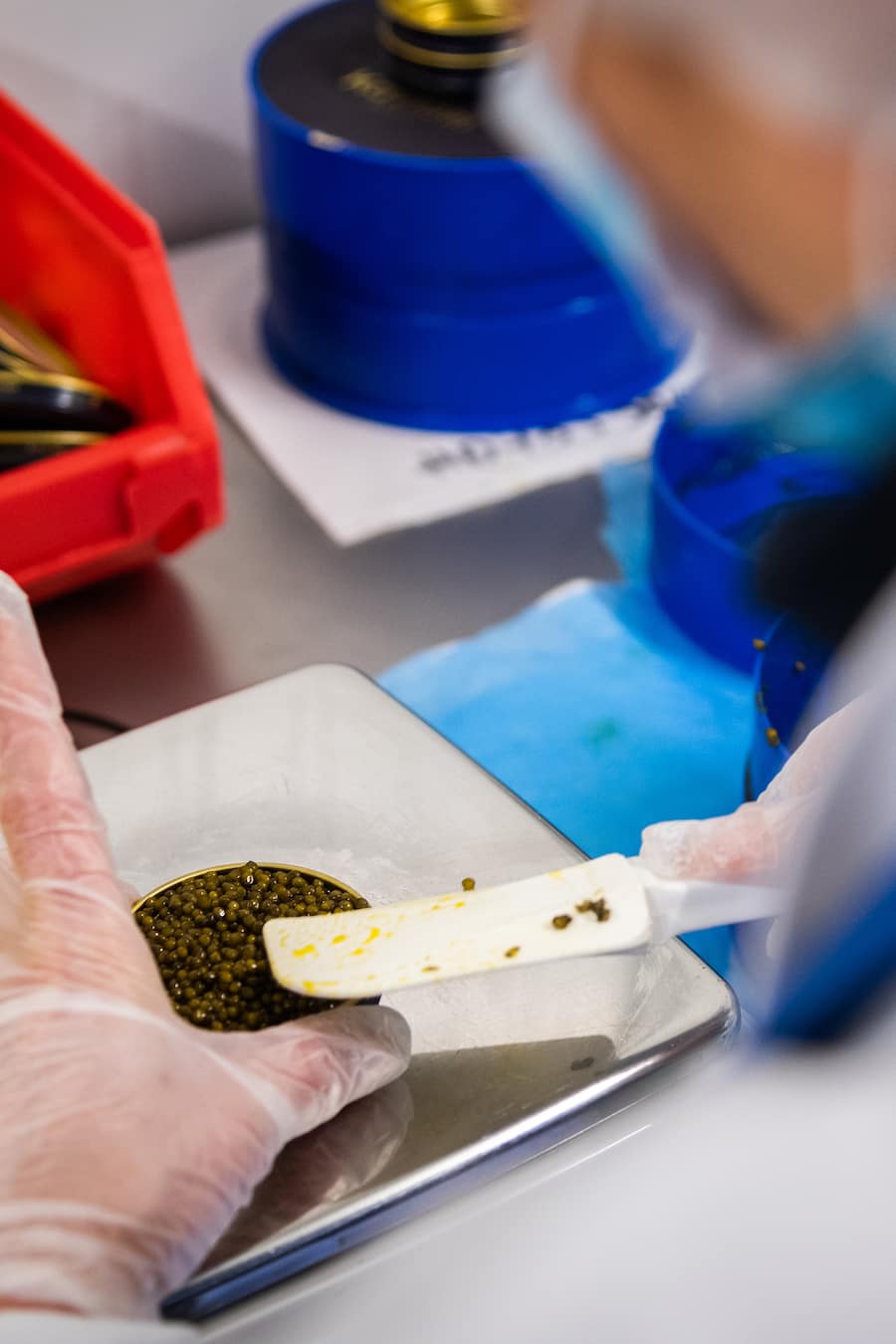 Kaviari-Kaviar-Event 2019