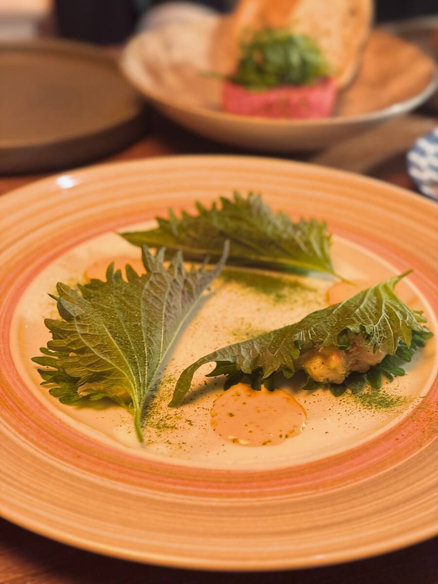 W verbier Brasserie 1519