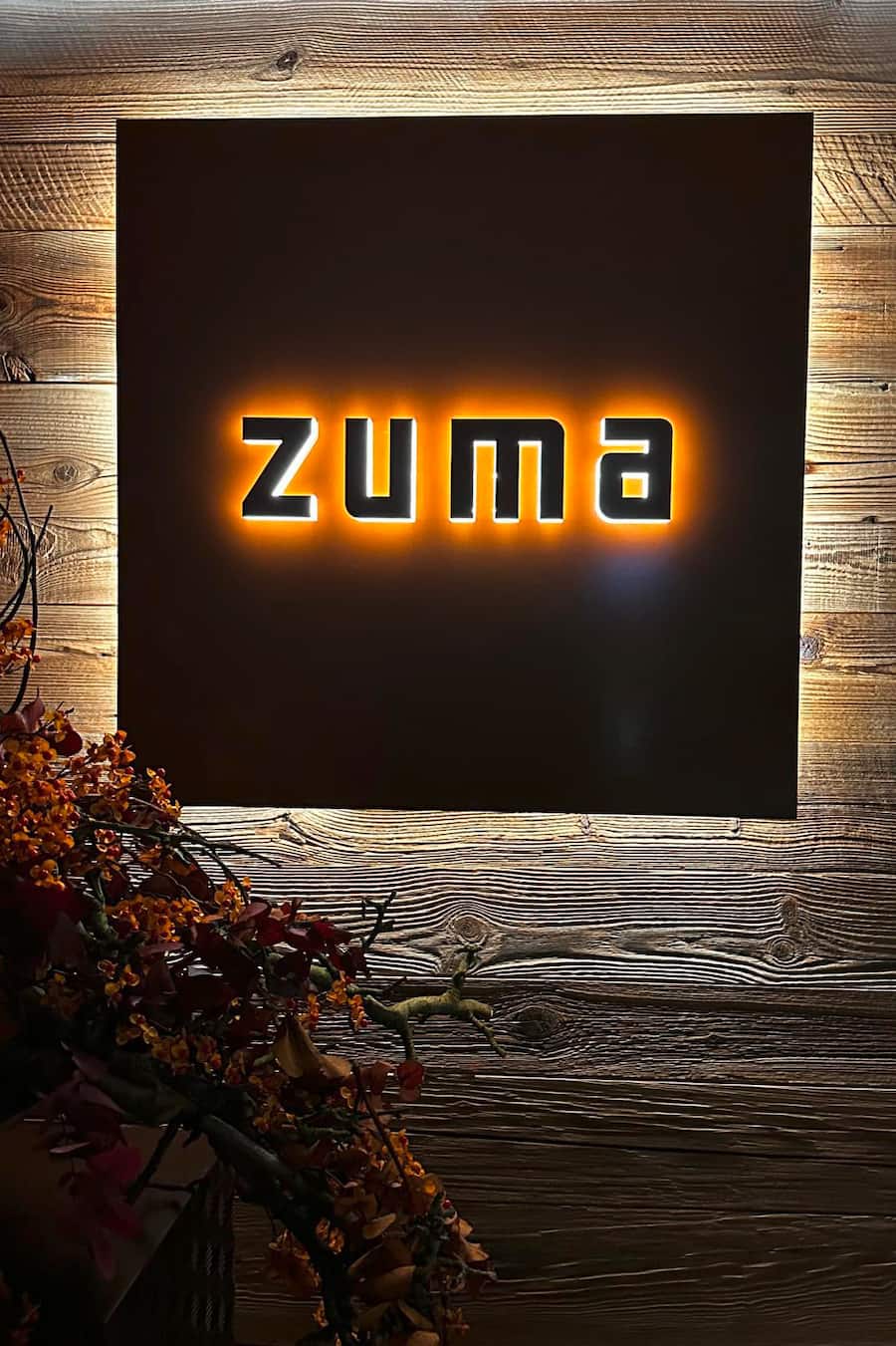 Zuma Logo