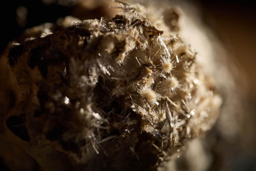 Käse, Blaus Hirni alt mit Kristall