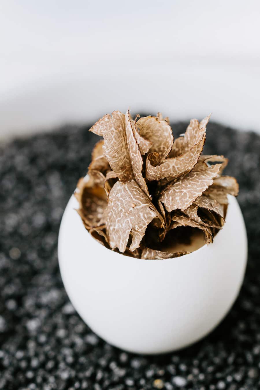 Gericht: Bündner Bio-Ei: Topinambur | Kastanie | Perigord Trüffel Ecco Ascona, Giardino, Ascona, TI HO via Philippe Frutiger CEO