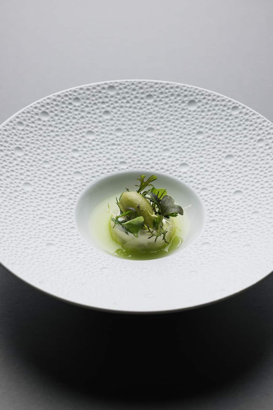 Aquachile - Gartenkresse - Joghurtschaum, Reportage Silvio auf dem Weg ins Hangar 7, 9. Januar 2026, Hangar 7, Wilhelm-Spazier-StraÃe 7A, 5020 Salzburg, Copyright Roy Matter