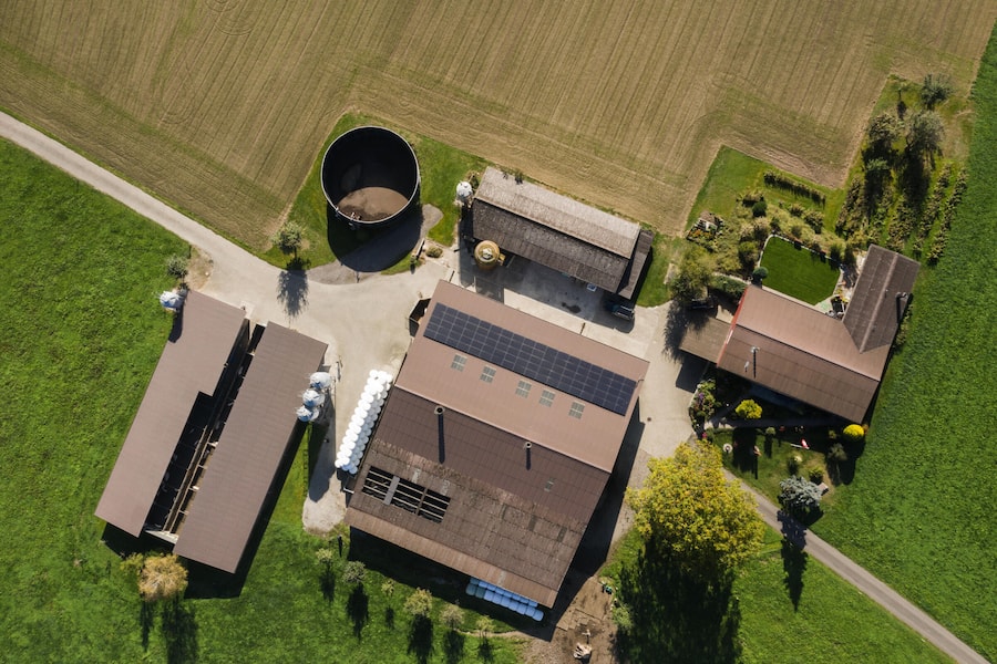 Handselected Pork LUMA von Produzent Bruno Vollenweider.