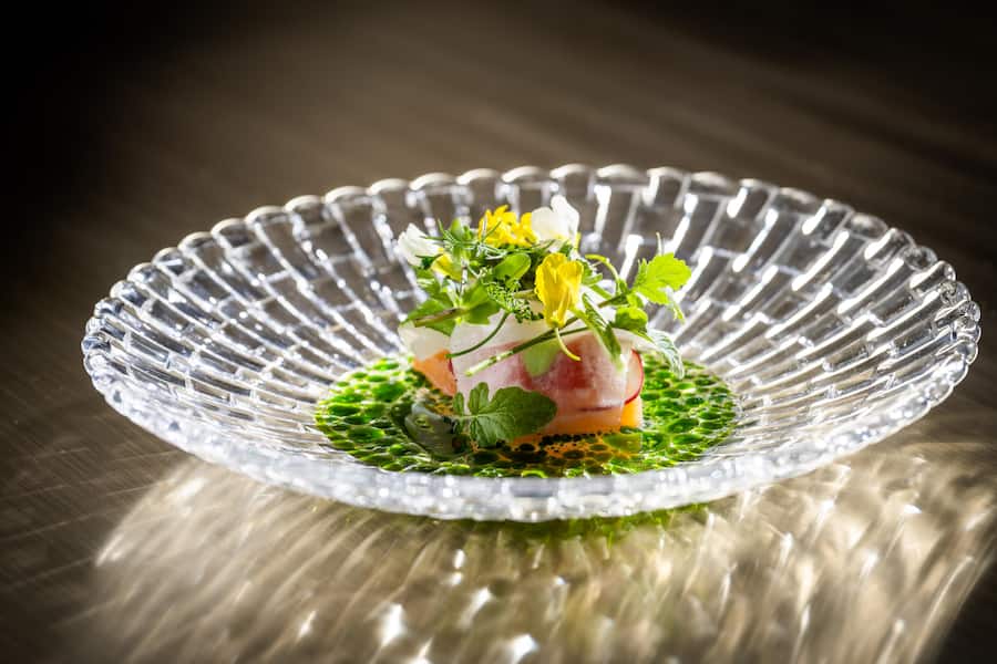 Joel Ellenberger kocht im Igniv 2023: Saibling, Kräuteröl, Büten aus dem Garten