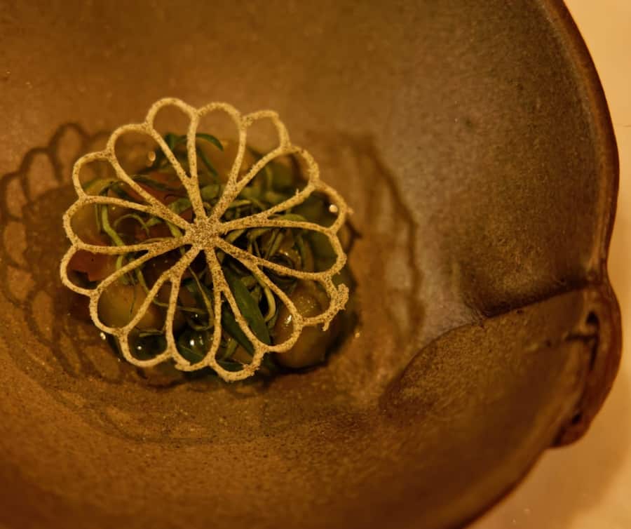 Salsifis, crème de toon et café dashi.