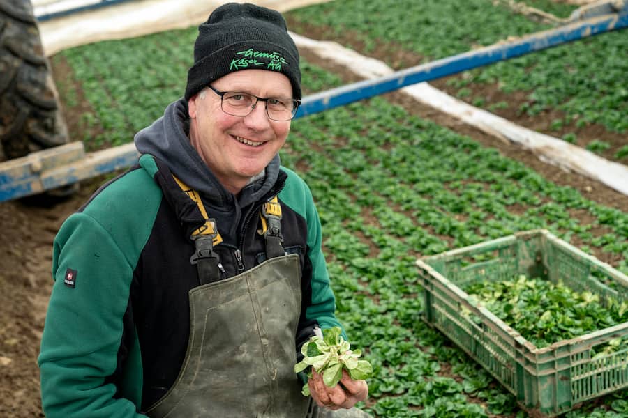 Nüsslisalat, mit Böni bei Thomas Käser, in Birmenstorf AG