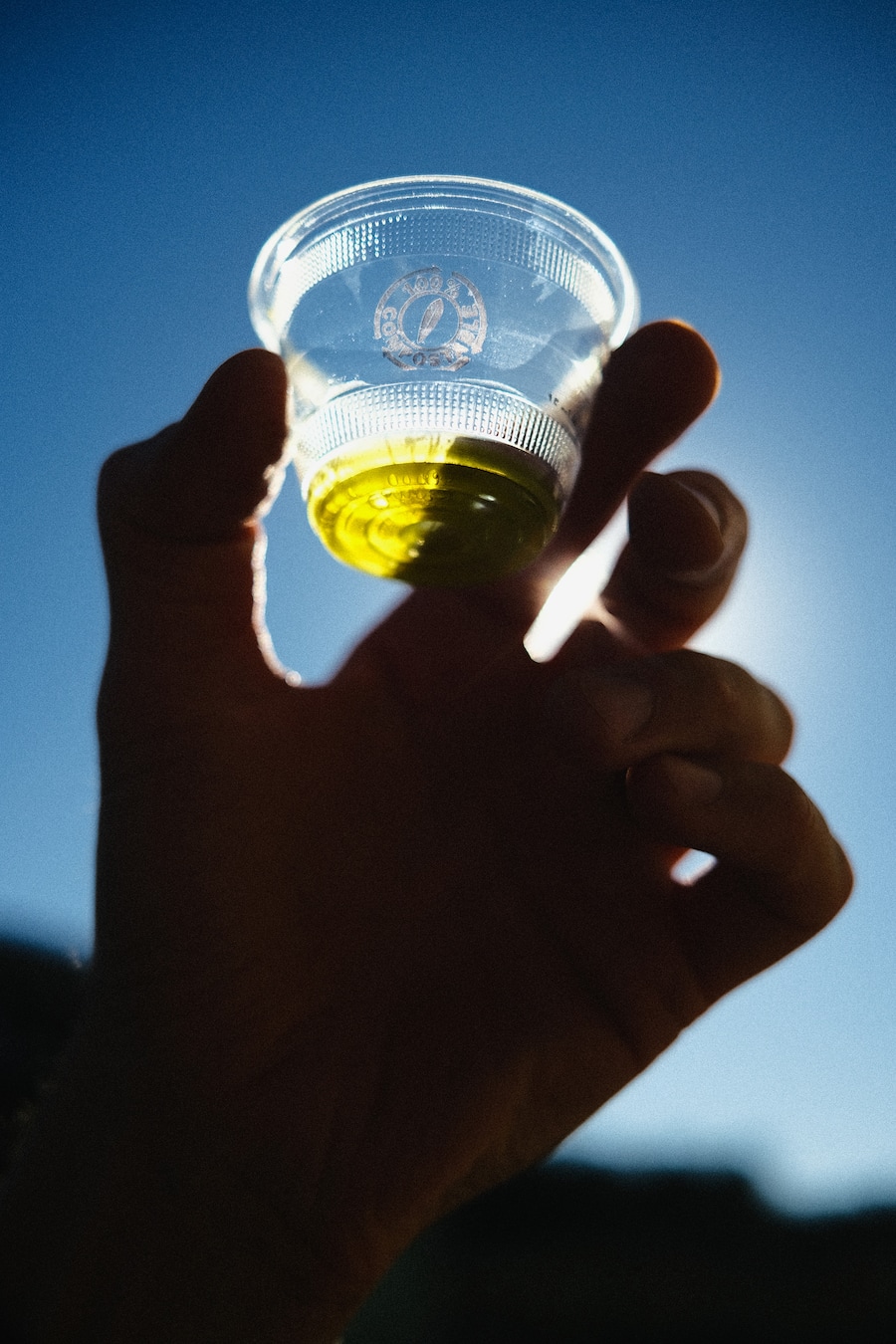 Olivenöl frisch ab Presse