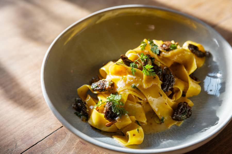 Papardelle con spugnole mit Morcheln.