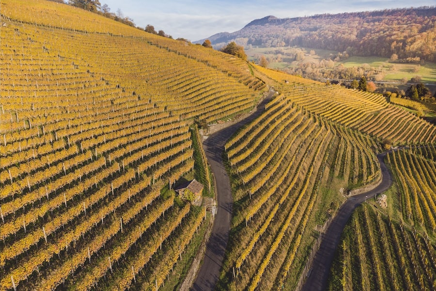 Weingut Goldwand in Ennetbaden, AG.