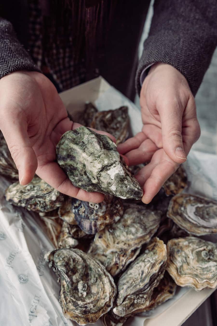 19.02.2026, Zürich, Restaurant Bianchi, Gillardeau Nr.2 (photo by Remy Steiner for Gault Millau)