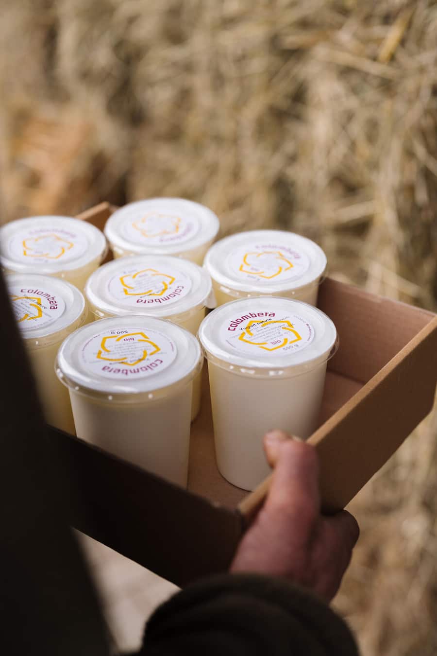 Joghurt vom Hof - Kira Ghidoni zu Besuch auf dem Bio-Landwirtschaftsbetrieb Colombera - Osteria Bisnona, Contone TI - Februar 2026 - Copyright Olivia Pulver