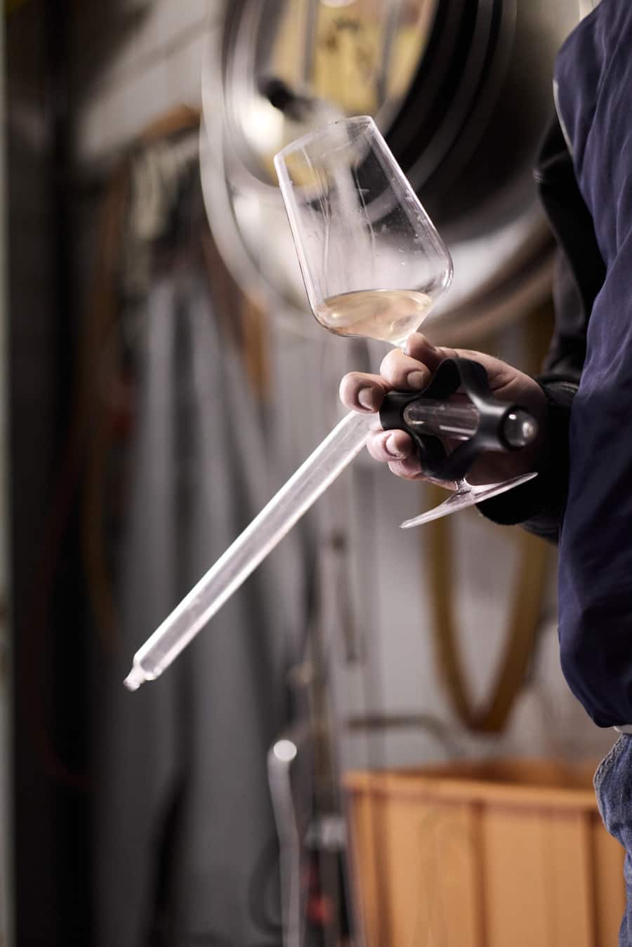 Tom Litwan im Weinkeller, Degustieren