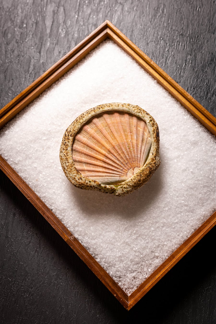 05.02.2026, Zürich, Mandarin Orintal Savoy, Restaurant Orsini, Gericht; Handgetauchte, norwegische Jakobsmuschel (by Restaurant Amber, Richard Ekkebus)(photo by Remy Steiner for Gault Millau)