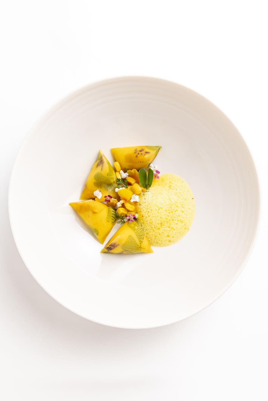 LES BERLINGOTS ASP SCHAFSKÄSE AUS DEM MONT GIBLOUX MAISCREMESUPPE, SAFRAN AUS DEM JORAT UND LAVENDEL AUS UNSEREN GEWÄCHSHAUSEN.