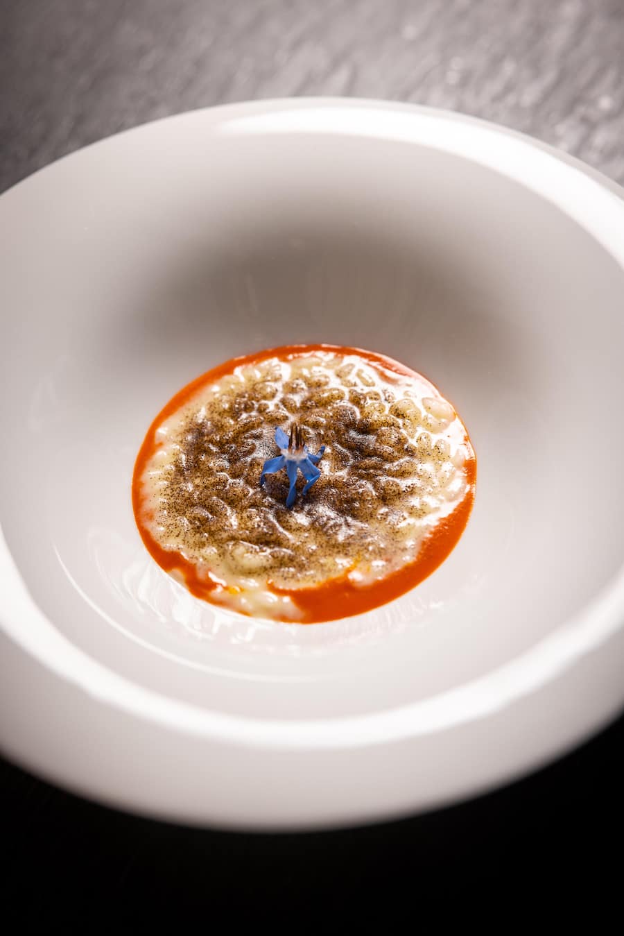 05.02.2026, Zürich, Mandarin Orintal Savoy, Restaurant Orsini, Gericht; Risotto mit Sizilianischen Zitronen, Senise Paprika-Sauce und schwarzem Kardamom (by Restaurant Orsini, Dario Moresco) (photo by Remy Steiner for Gault Millau)