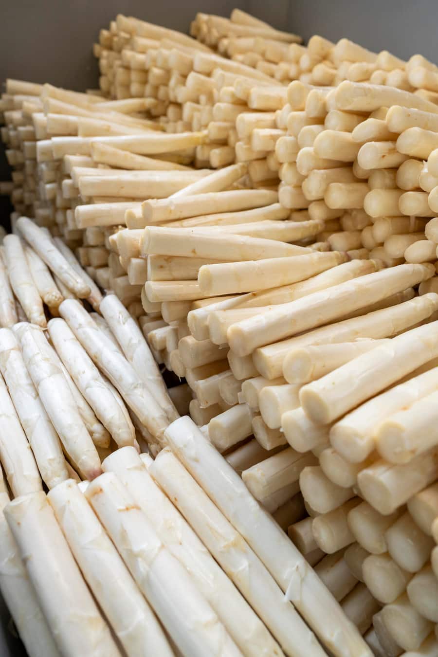 Die Reise des Badischen Spargels, auf Spargelhof Mönich in Griesheim (D)