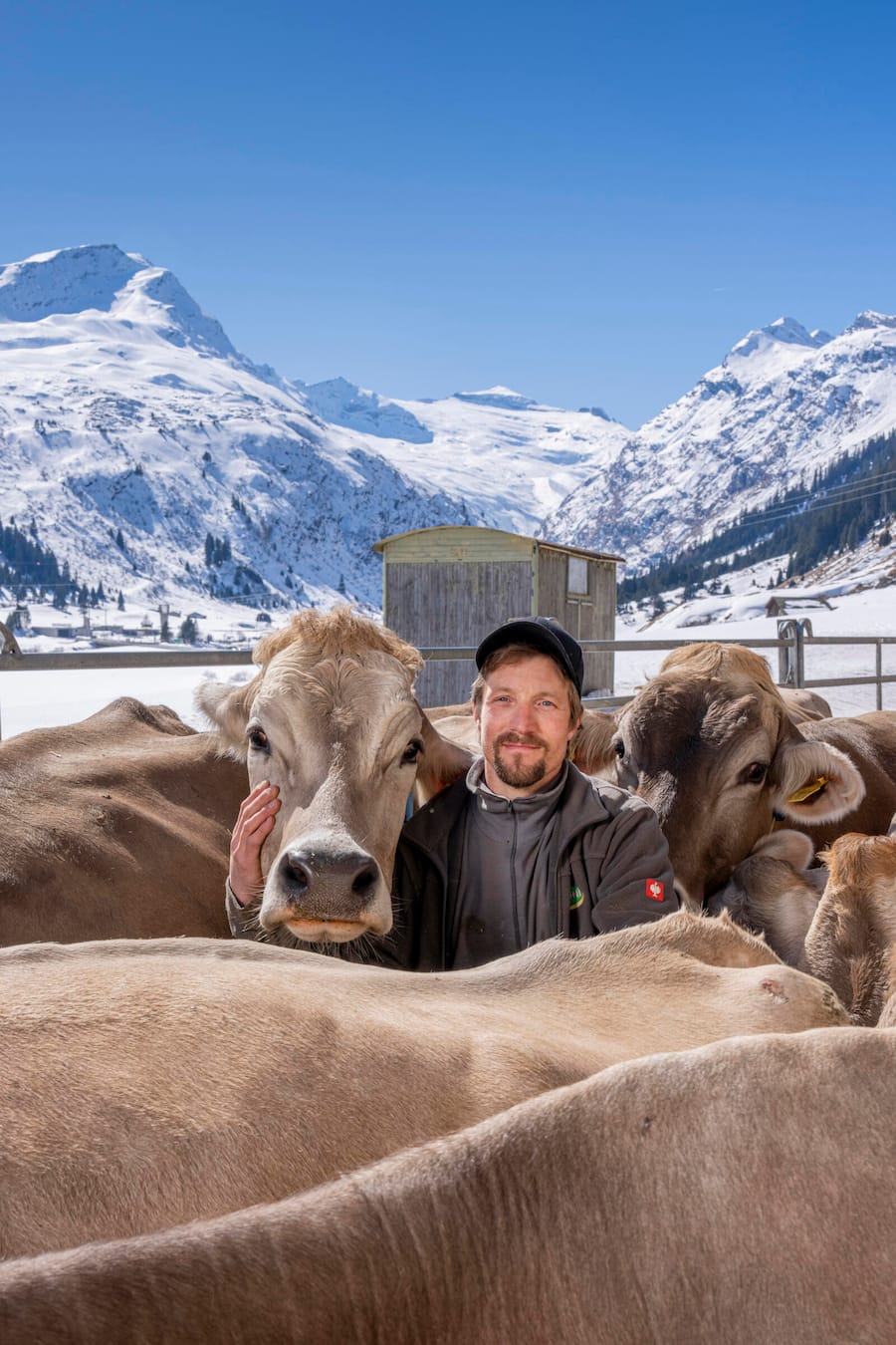 Besuch im Restaurant Bachhuus in Hinterrhein (Graubuenden) fuer GaultMillau. Thomas Egger fotografiert mit seinen Kuehen am 20. Maerz 2026. Bild Yanik Buerkli
