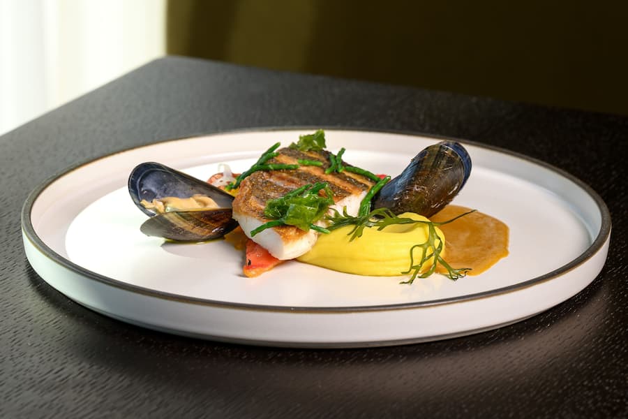 Dorade Royale aus der Bretagne, mit der Angel gefangen.