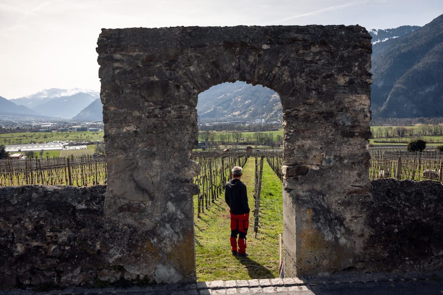 05.03.2026, Malans GR, Weingut Luzi Boner, Bio-Winzer Luzi Boner (photo by Remy Steiner for Gault Millau)