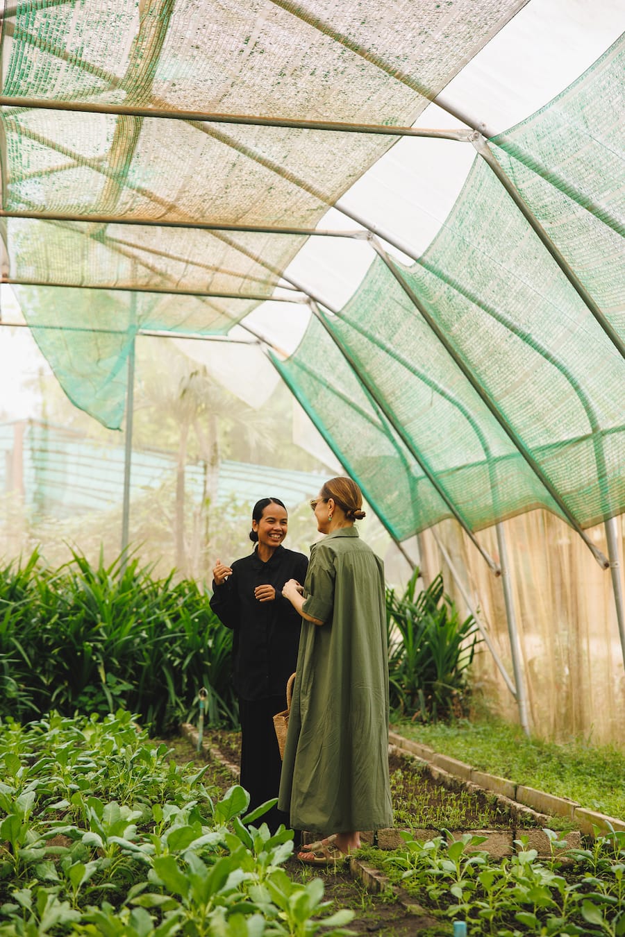 Maria Tanja Grandits Gewächshaus