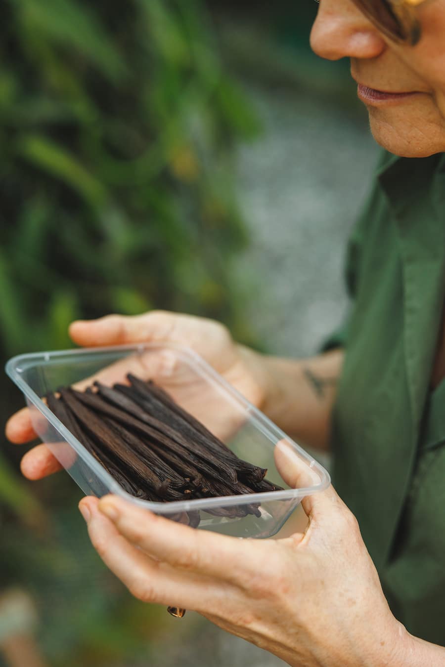 Vanille Smiling Gecko