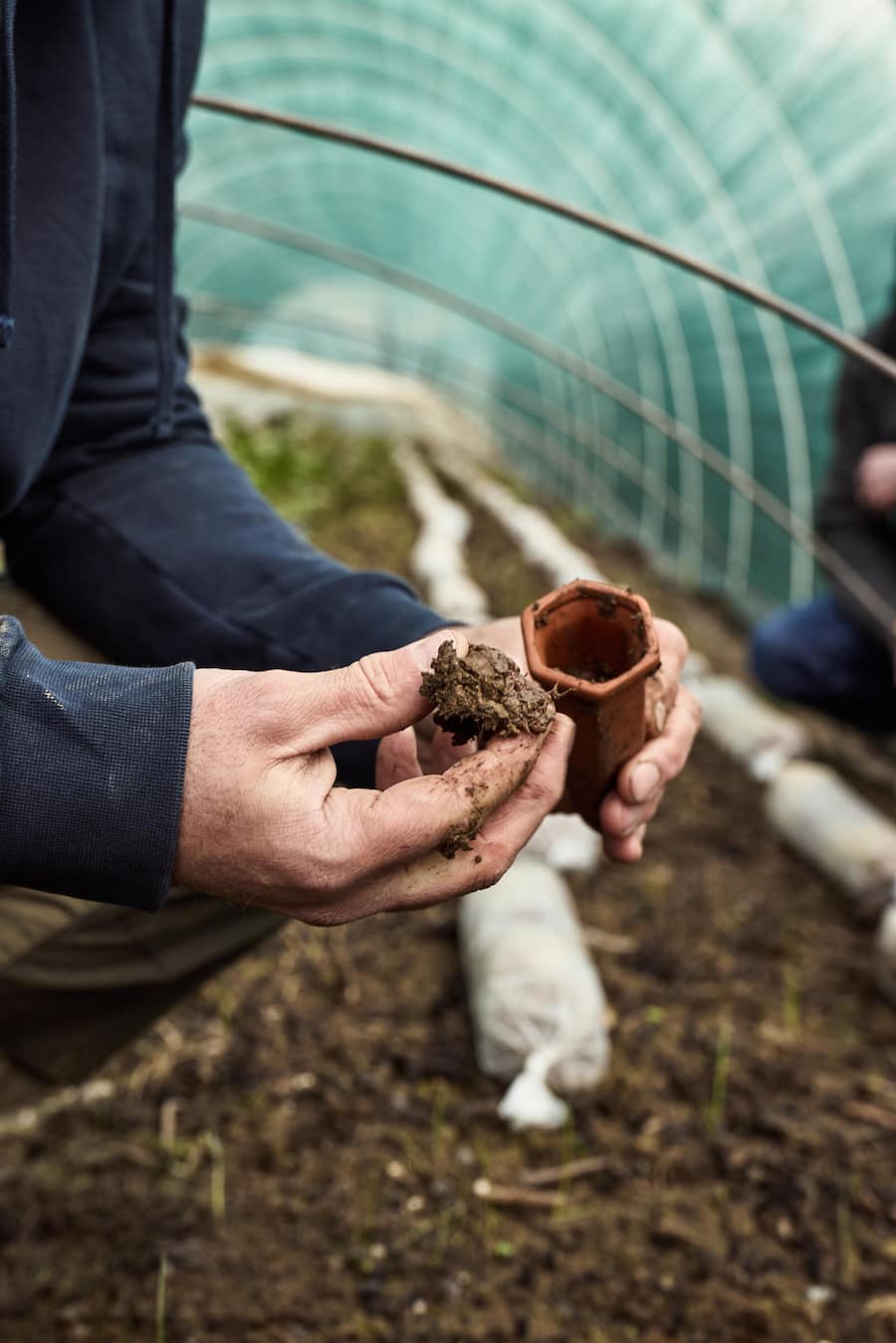 Monsieur Ben, Ziehtopf, Booster.