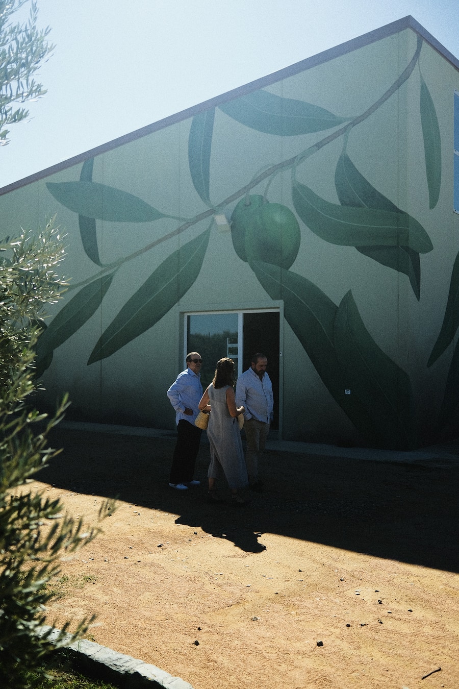 Olvenöl Fontclara Spanien