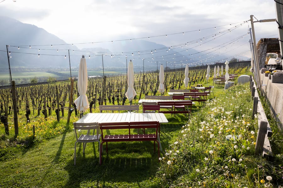 Oliver Friedrich, Restaurant zum Alten Torkel, Jenins