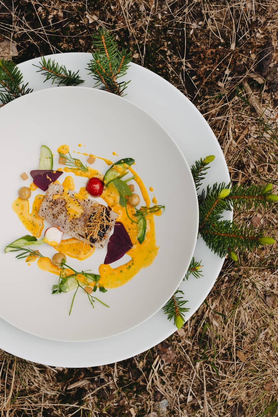 Val Lumnezia Saibling, Sanddorn, Thymian - beyond the clouds - Marcel Koolen (Chefkoch Silver) kocht in der Natur auf dem Feuer - Silver, 7132 Vals - Juni 2024 - Copyright Olivia Pulver