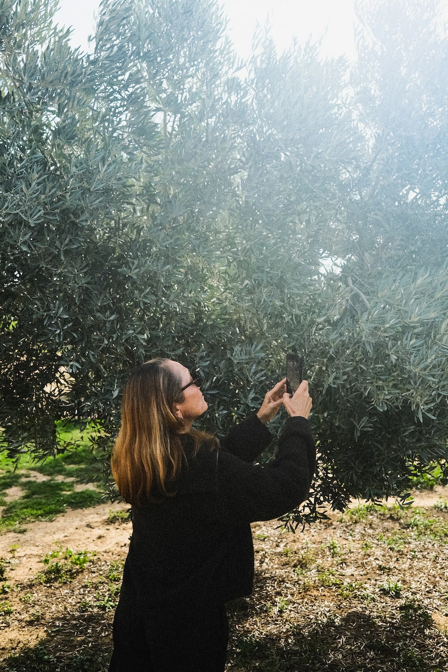 Tanja Grandits, Fontclara,