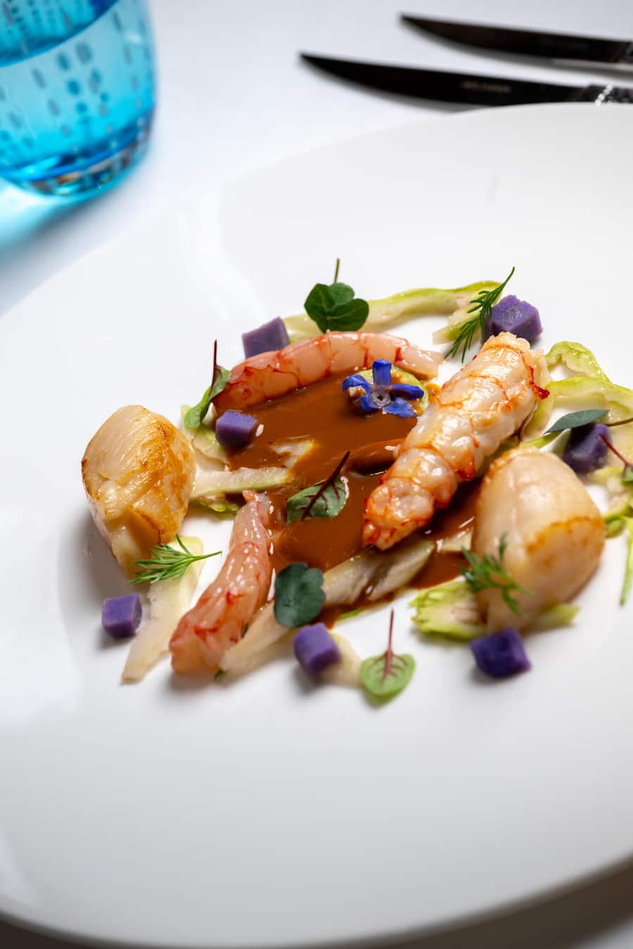 Antipasti: Südafrikanischer Scampi, rote Garnele, Jakobsmuschel, Puntarelle & Krustentiersauce