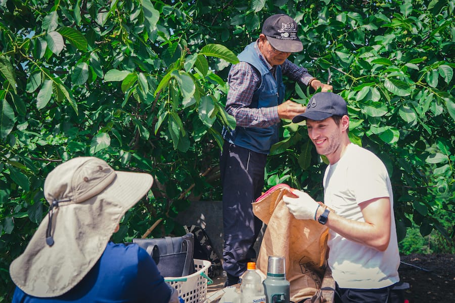 Chef Joseph Ligwood auf einer Walnuss-Farm in Südkorea