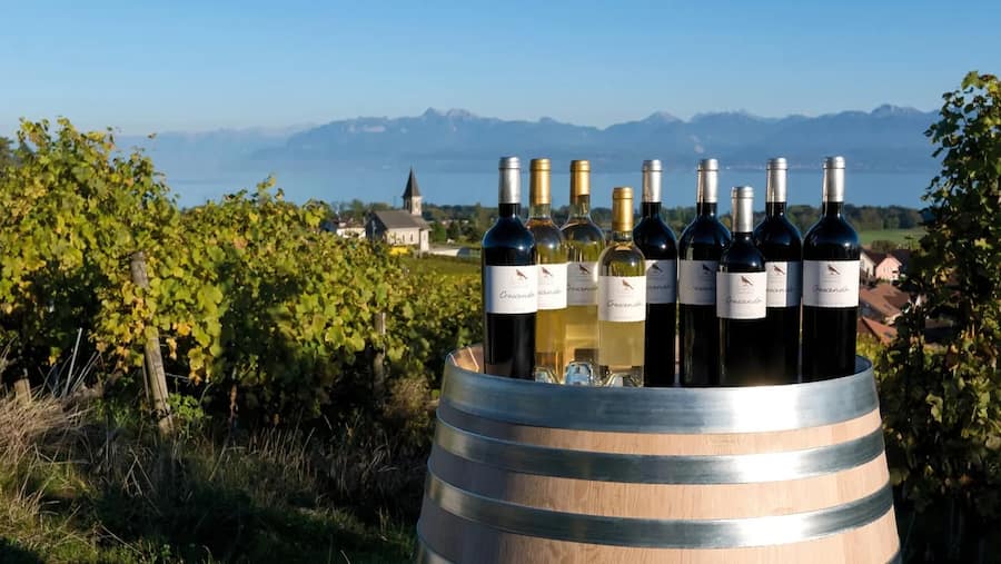 Domaine Chantegrive