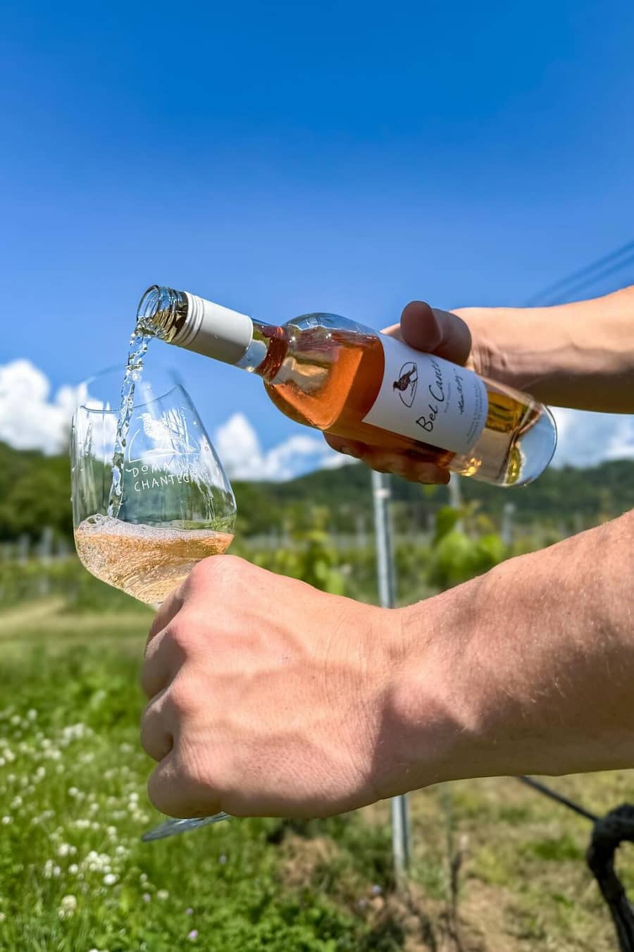 Domaine Chantegrive