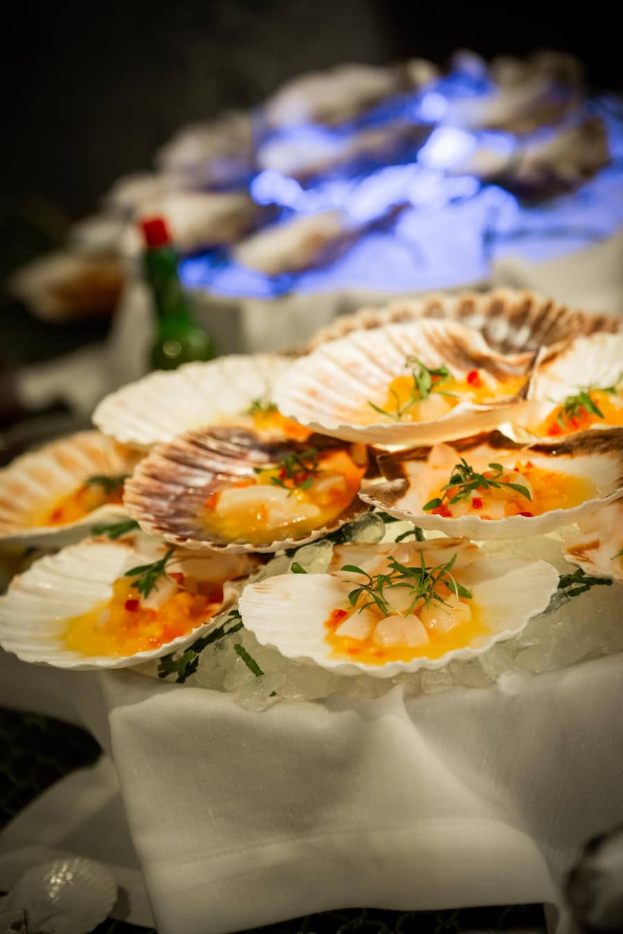 Fischbuffet im Castello del Sole 2026