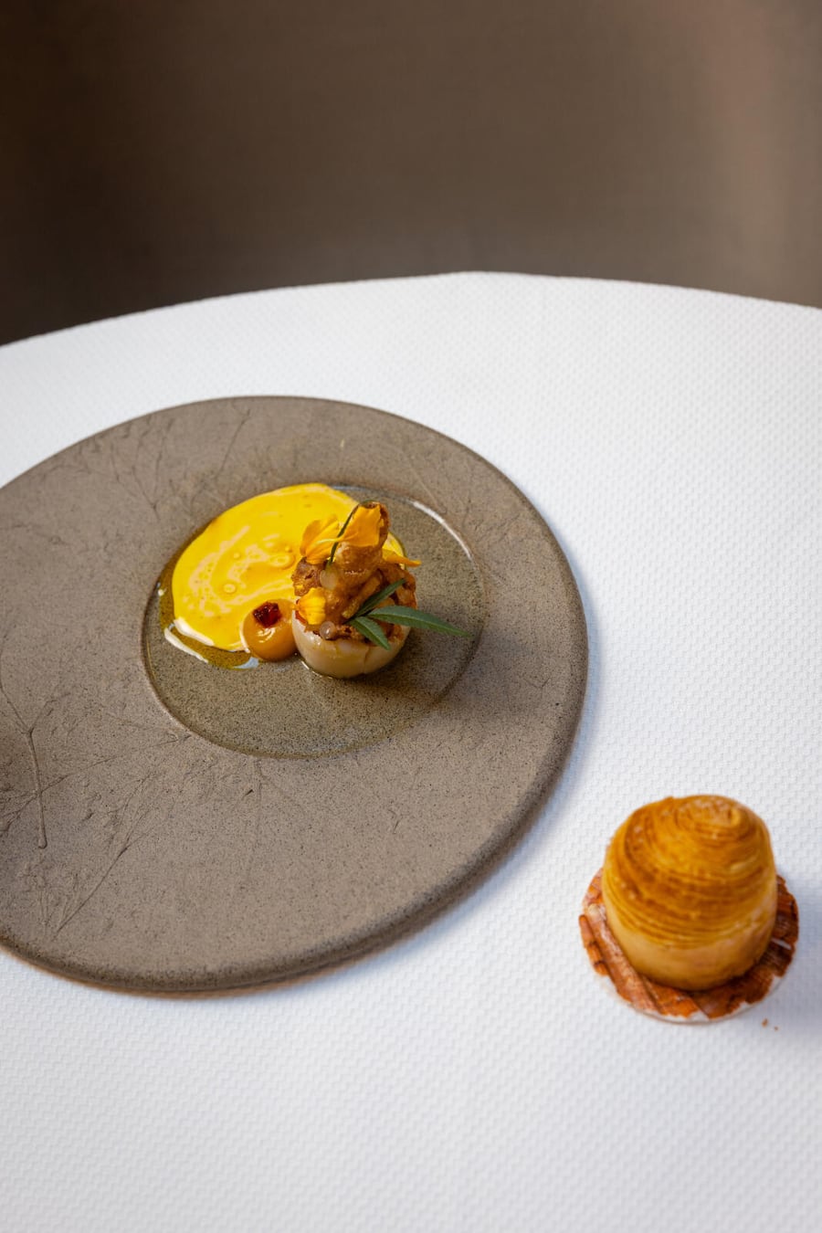 18.03.2026, Fribourg, Restaurant Les Pérolles, Gericht; Jakobsmuschel mit Bitterorange (photo by Remy Steiner for Gault Millau) Regionenreport Teil 2