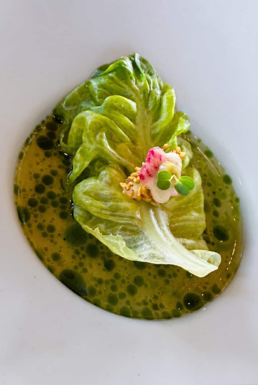 Kopfsalat