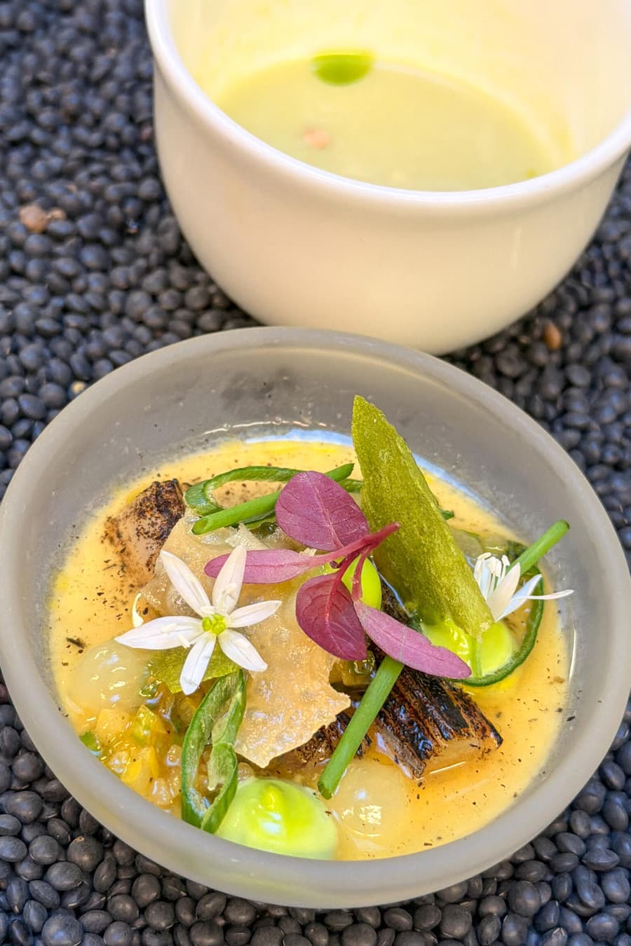 Lauchsüppchen-Vorspeise mit Zitrusvinaigrette – schon der Anblick ist ein Gedicht für Augen und Gaumen.
