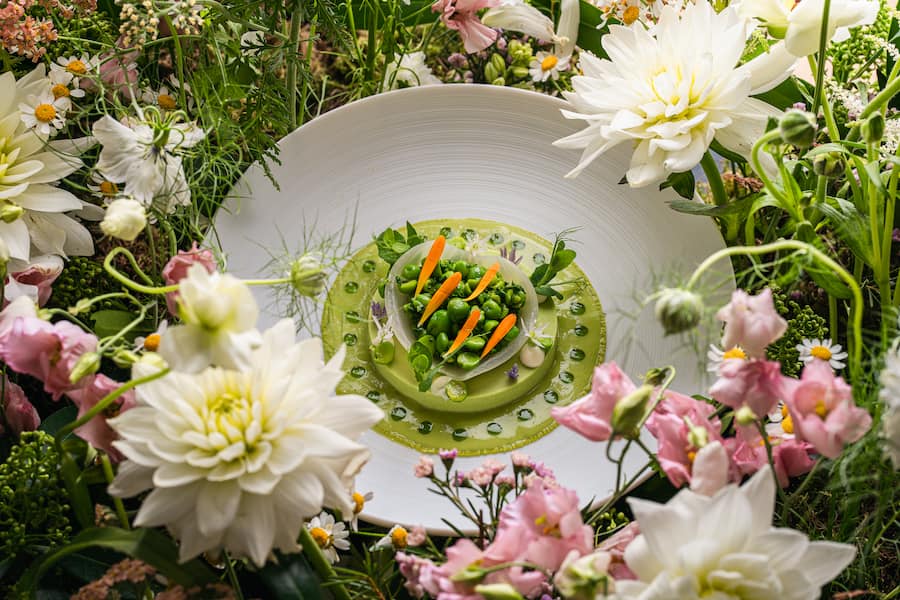 Veggie Week 2026