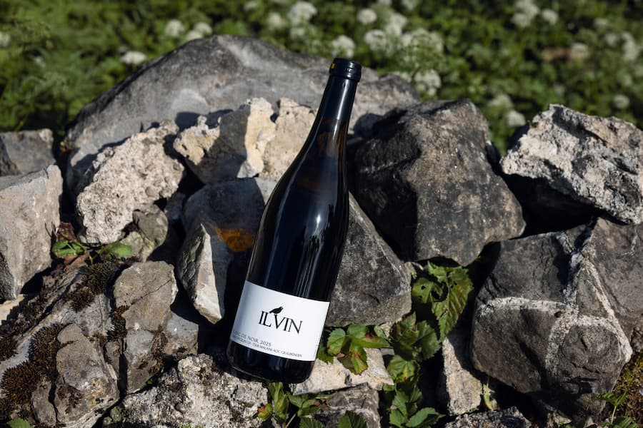 05.06.2026, Switzerland, Maienfeld GR, ILVIN Blanc de Noir 2025 by Tobias Wegelin (photo by Rémy Steiner for Gault Millau)