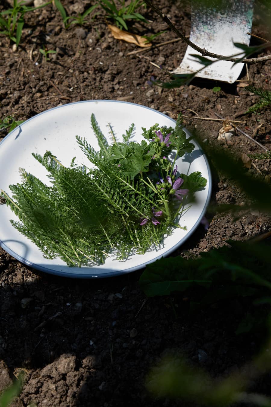 Schrebergarten