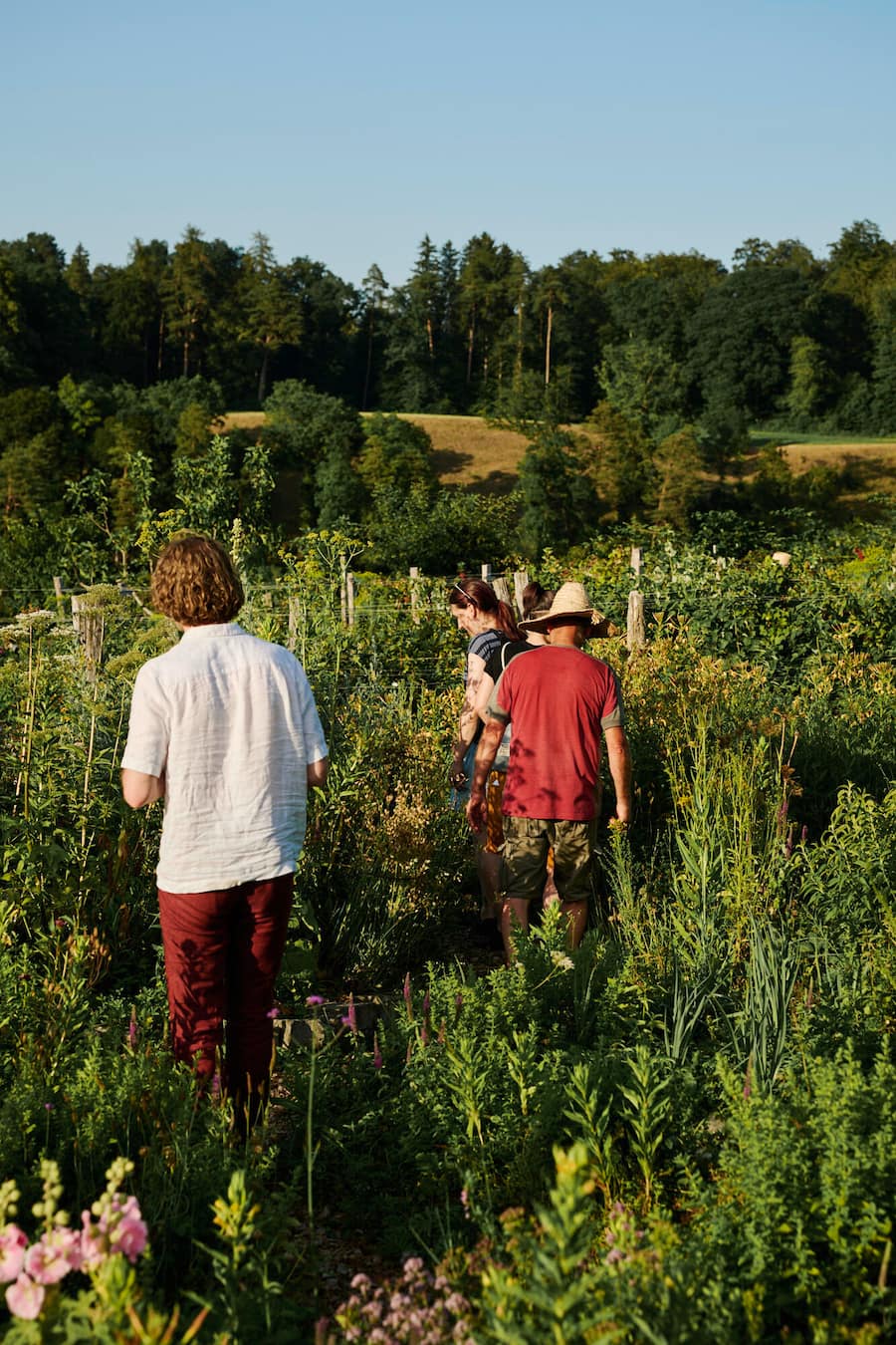 Rosa Pulver kocht auf dem Bungerthof, Berg am Irchel, ZH / Koch: Michael Dober