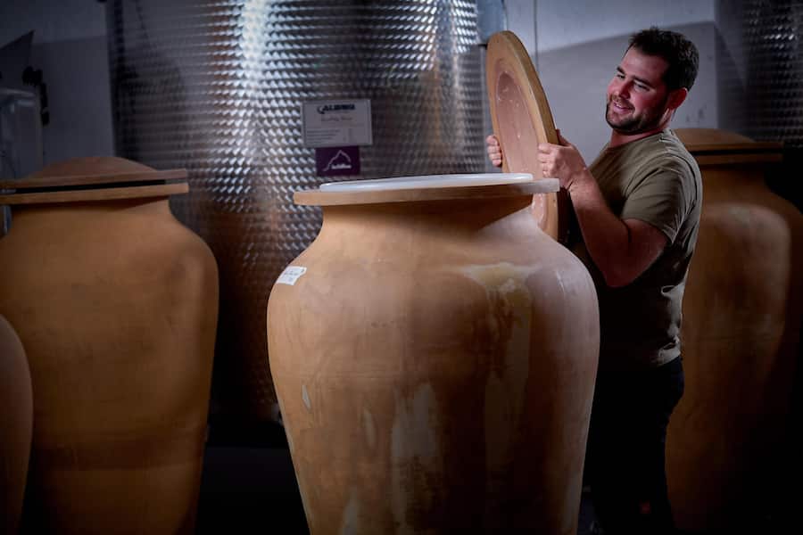 Pierre Dorsaz, Cave des collines.