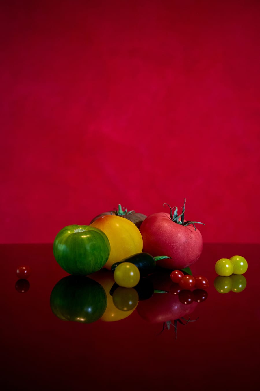 Verschiedene Tomaten, 1732 Vals mit Marcel Koolen im Kräutergarten- Juni 2026 - copyright samir seghrouchni